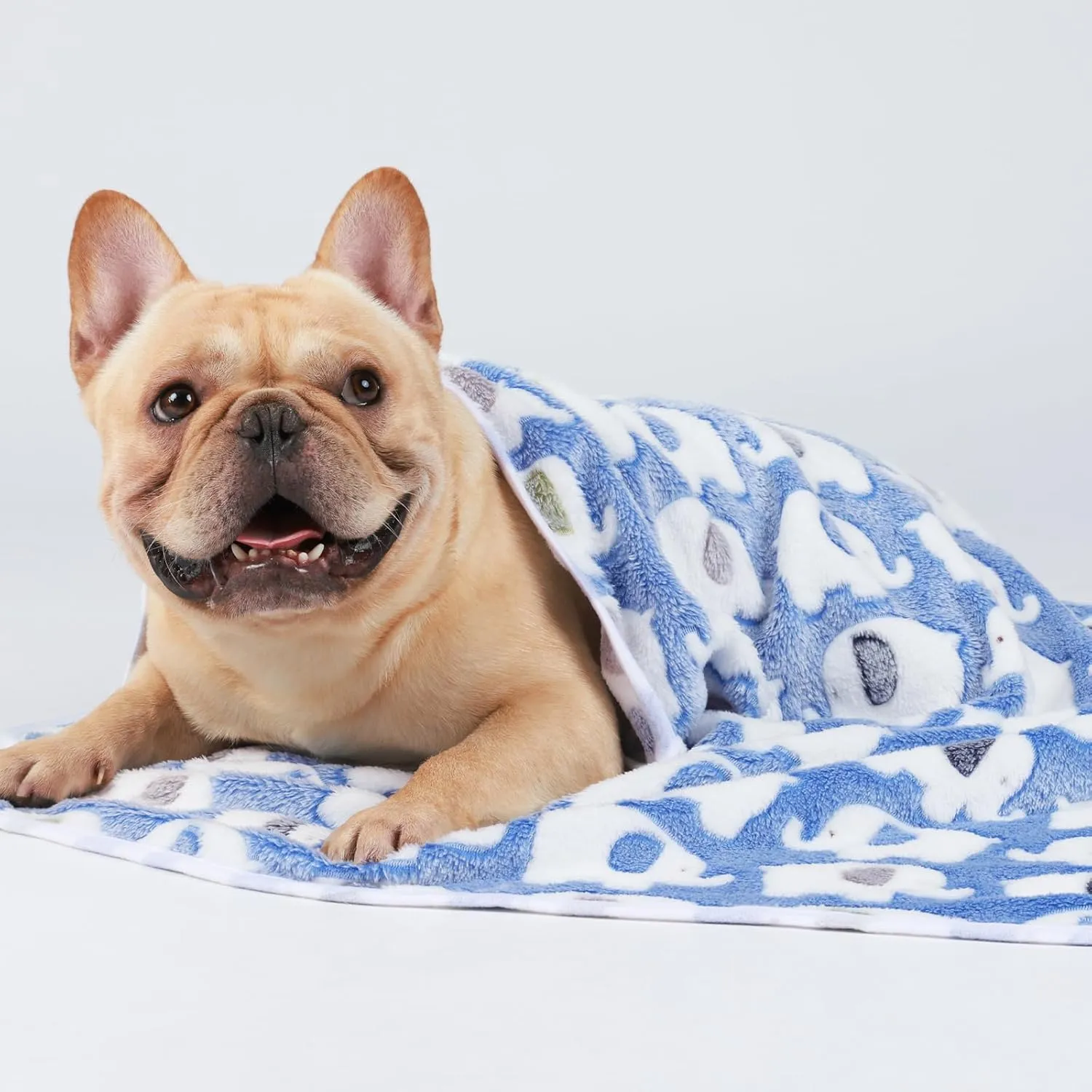 1 Pack 3 Blankets Super Soft Fluffy Premium Cute Elephant Pattern Pet Blanket Flannel Throw for Dog Puppy Cat Blue/Pink/Yellow Small(23x16 inch)