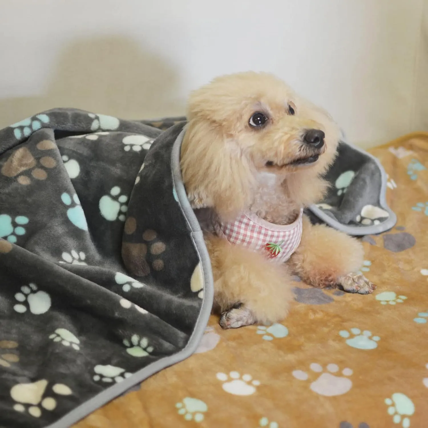 1 Pack 3 Puppy Blankets Super Soft Warm Sleep Mat Cute PAW Print Blanket Fleece Pet Blanket Flannel Throw Dog Blankets for Small Dogs Puppy Cats,Gray/White/Brown-Small(23"x15")