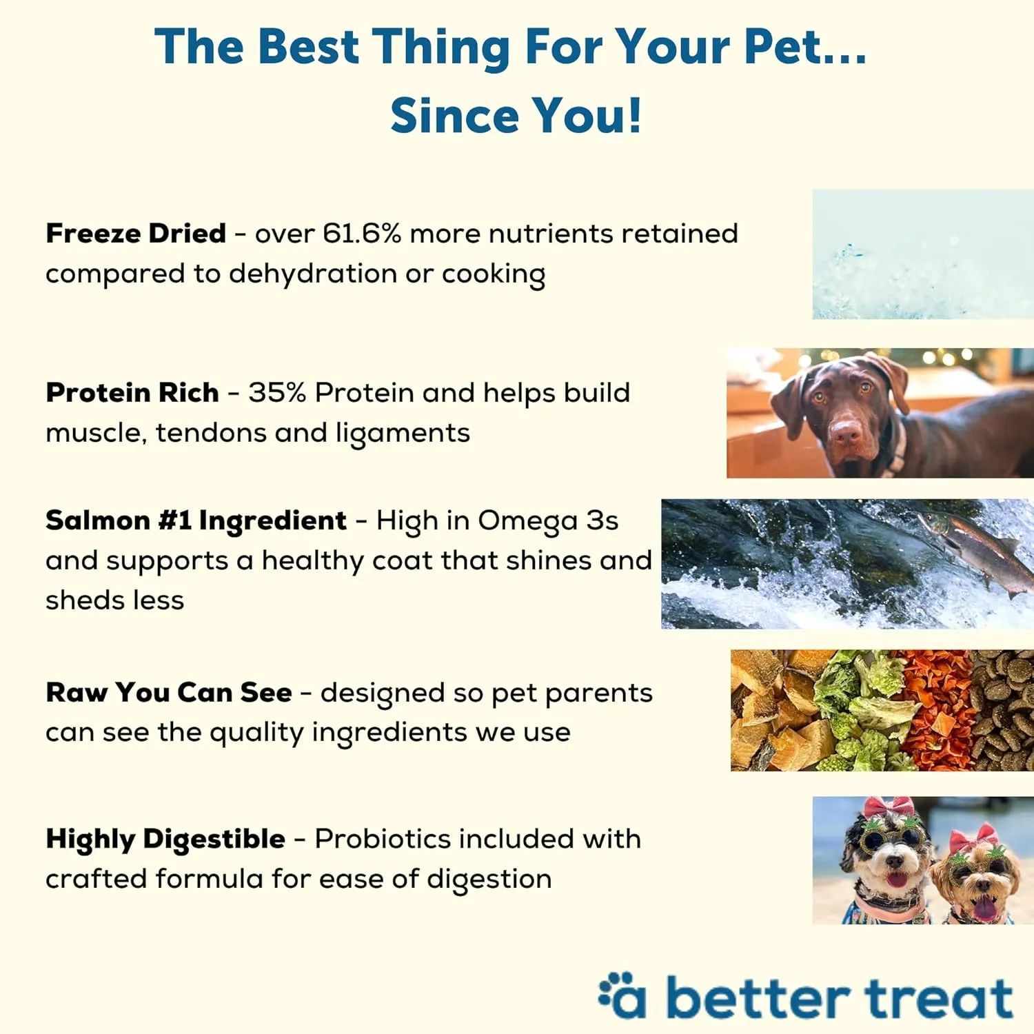 A Better Dog Food | Salmon Dry Dog Food | Raw You Can See | High Protein Kibble   Freeze Dried Raw Dog Food