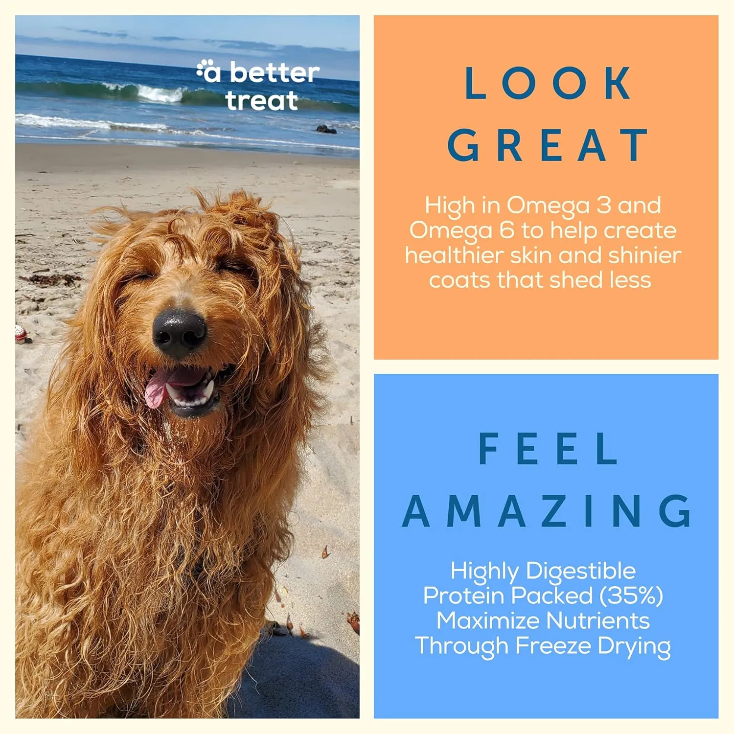 A Better Dog Food | Salmon Dry Dog Food | Raw You Can See | High Protein Kibble   Freeze Dried Raw Dog Food