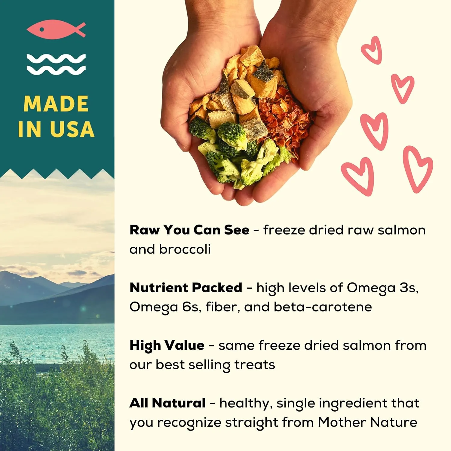 A Better Dog Food | Salmon Dry Dog Food | Raw You Can See | High Protein Kibble   Freeze Dried Raw Dog Food