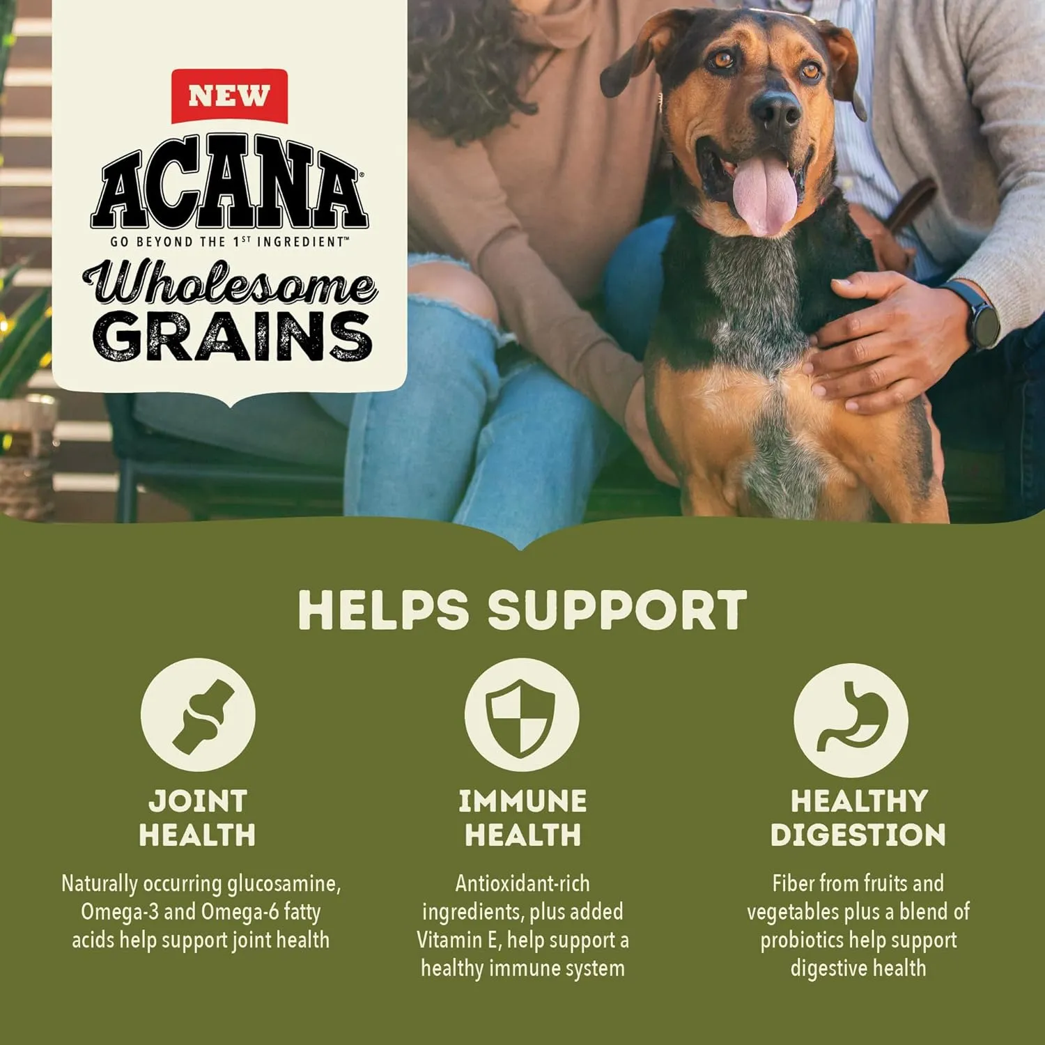 ACANA Wholesome Grains Dry Dog Food, Large Breed Adult Recipe, Poultry Dog Food, 22.5lb