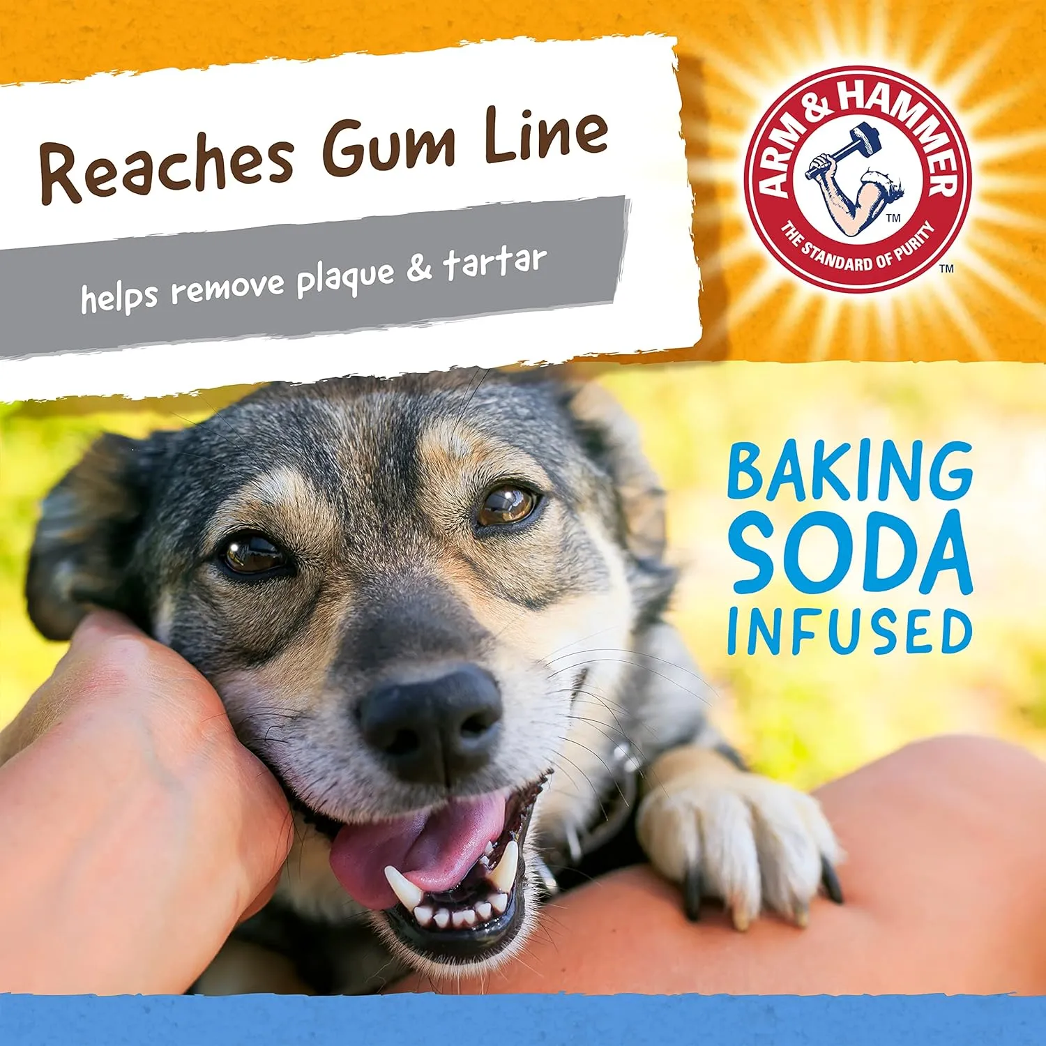 Arm & Hammer for Pets Nubbies TriBone Dog Dental Toy Best Dog Chew Toy for Moderate Chewers Dog Dental Toy Helps Reduce Plaque & Tartar Peanut Butter Flavor with Arm & Hammer Baking Soda (Pack of 24)