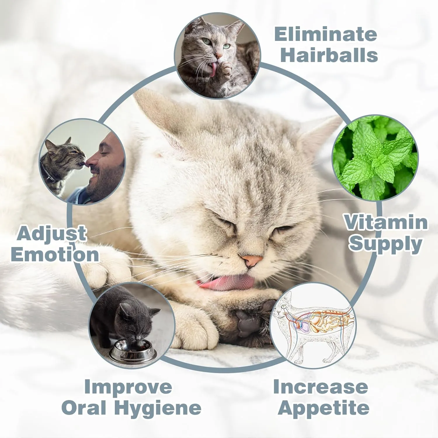 Catnip Ball for Cats Wall, 4 Pack Catnip Toys, Silvervine Balls, Edible Kitty Toys for Cats Lick, Safe Healthy Kitten Chew Toys for Teeth Cleaning Dental, Cat Wall Treats (Grey)