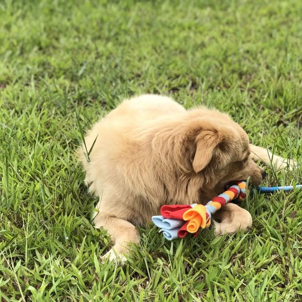 Dewonch Dog Fleece Rope Teaser Toy as Replacement to Chase and Tug (A-2PCS)
