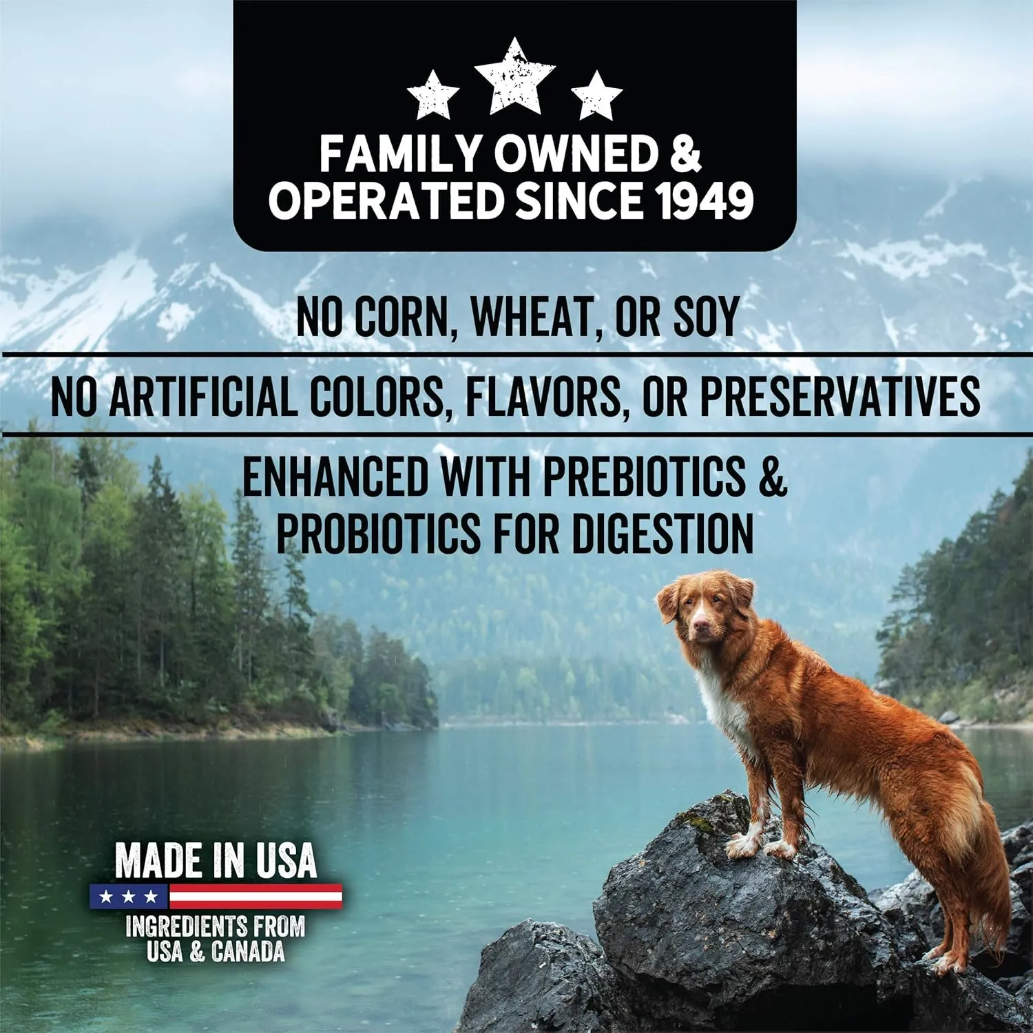 Evolve Grain Free Deboned Salmon & Sweet Potato Recipe Dog Food, 12 lb.