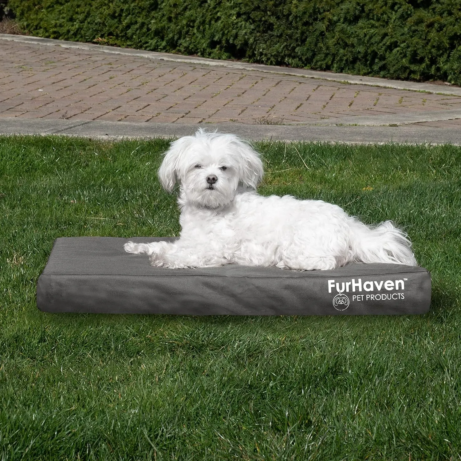 Furhaven Water-Resistant Orthopedic Dog Bed for Medium/Small Dogs w/ Removable Washable Cover, For Dogs Up to 35 lbs - Indoor/Outdoor Logo Print Oxford Polycanvas Mattress - Stone Gray, Medium