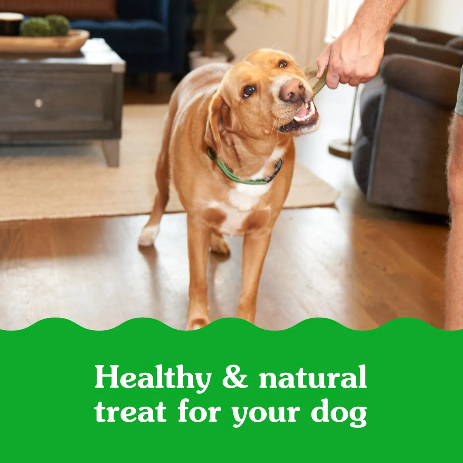 Greenies Smartbites Immune Support Crunchy & Soft Dog Treats, Chicken Flavor, 8 oz. Pouch