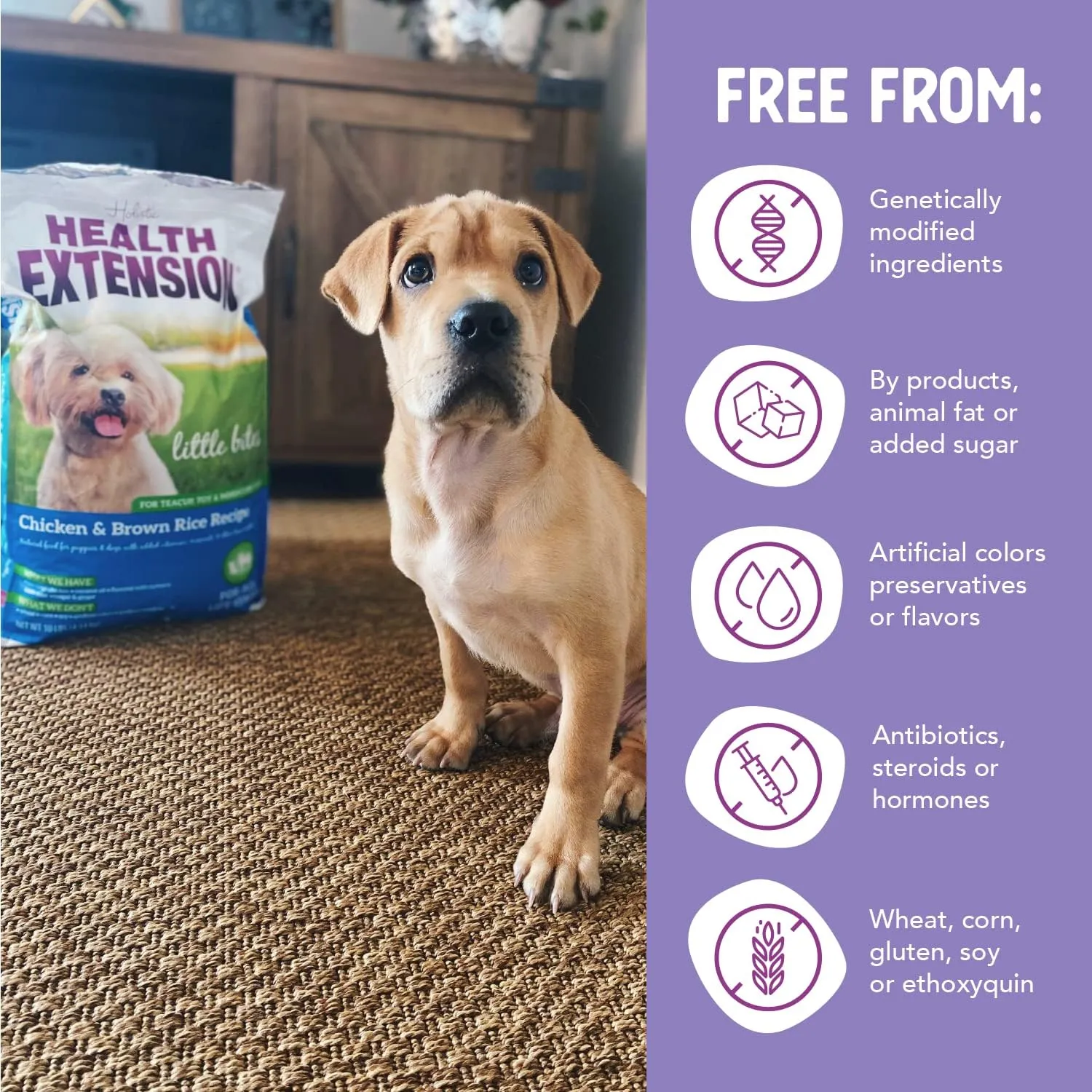 Health Extension Little Bites Chicken & Brown Rice Dry Dog Food (1 lb / 0.45 kg) - Natural with Probiotics and Superfoods for Teacup, Toy & Small Breeds