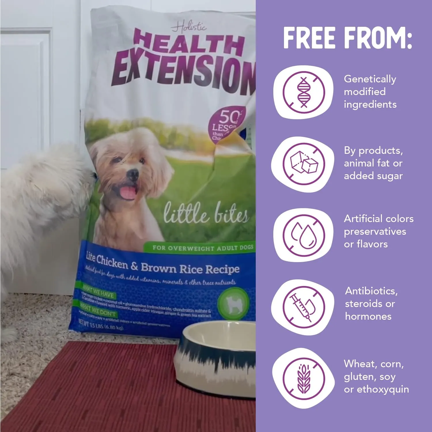 Health Extension Little Bites Lite Chicken & Brown Rice Dry Dog Food (4 lb / 1.8 Kg) - Natural with Probiotics and Superfoods for Overweight Adult Dogs (Pack of 6)