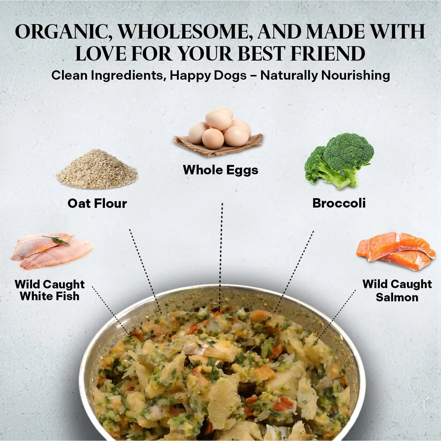 Healthy Dogma - PetMix Dehydrated Dog Food  Fish Dinner with Wild-Caught Alaskan Salmon & Whitefish  Gluten-Free, Skin & Coat Support, Clean Ingredient Dog Food  No Preservatives, (2 lbs)