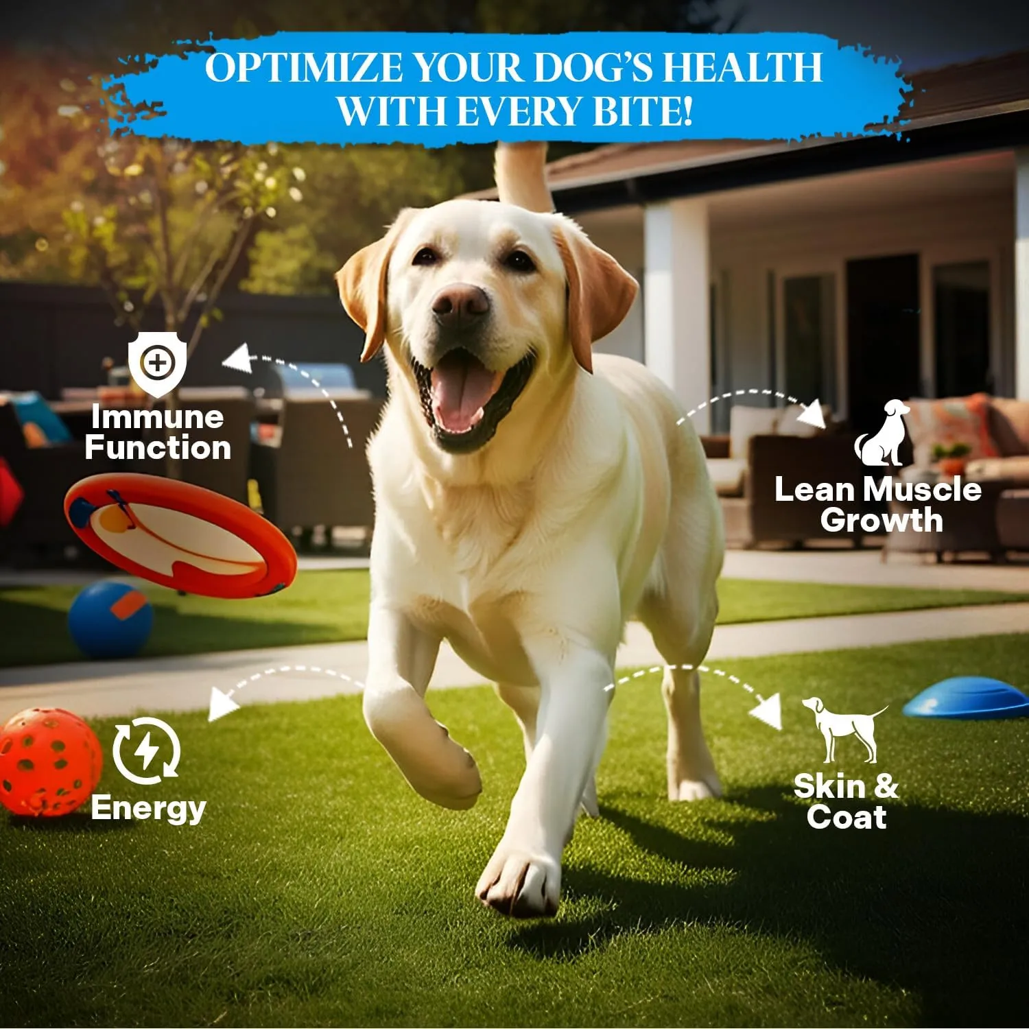 Healthy Dogma - PetMix Dehydrated Dog Food  Fish Dinner with Wild-Caught Alaskan Salmon & Whitefish  Gluten-Free, Skin & Coat Support, Clean Ingredient Dog Food  No Preservatives, (2 lbs)