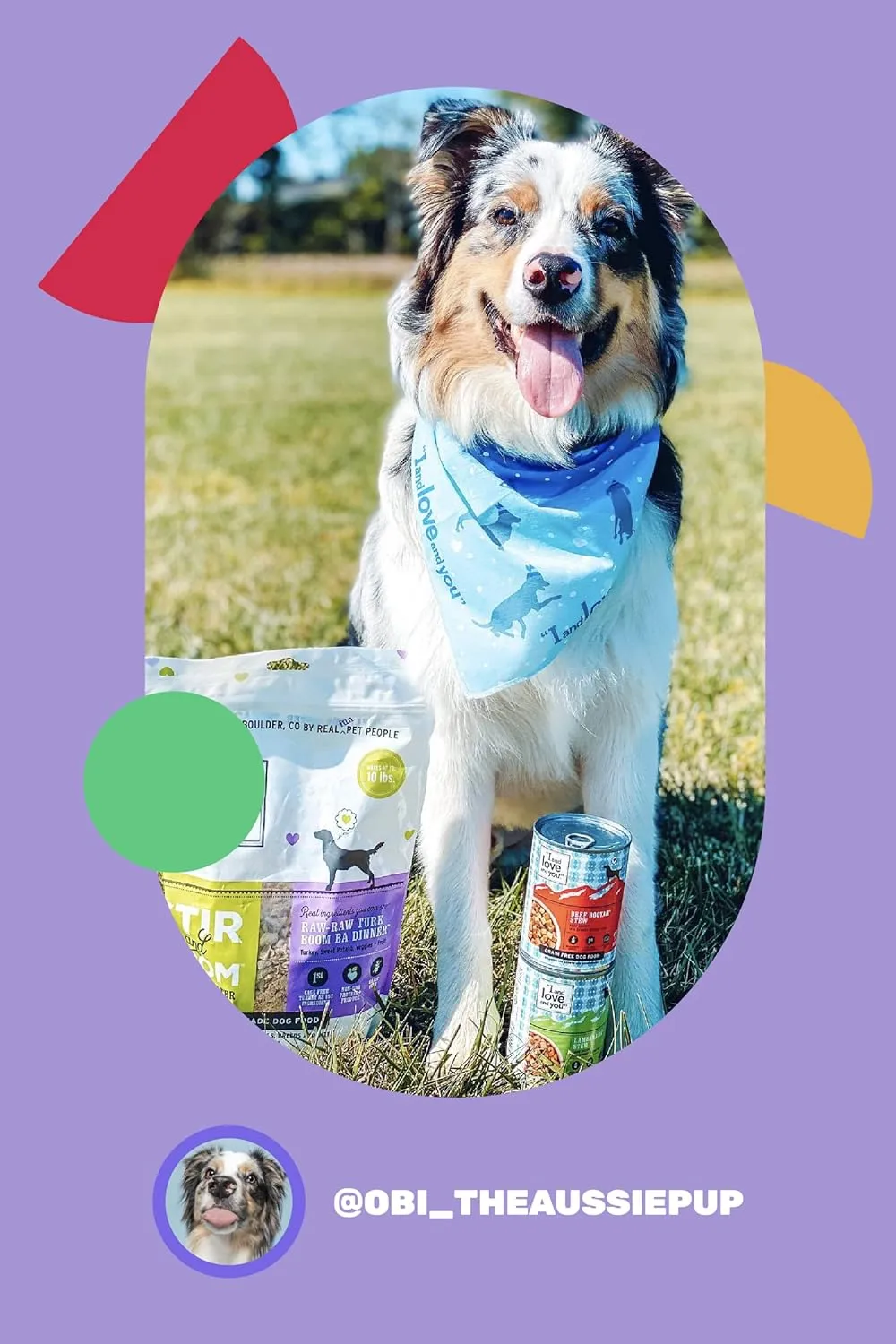 I AND LOVE AND YOU Wet Dog Food - Moo Moo Venison Stew - Beef   Venison Recipe, Grain Free, Filler Free 13oz can, 12pk