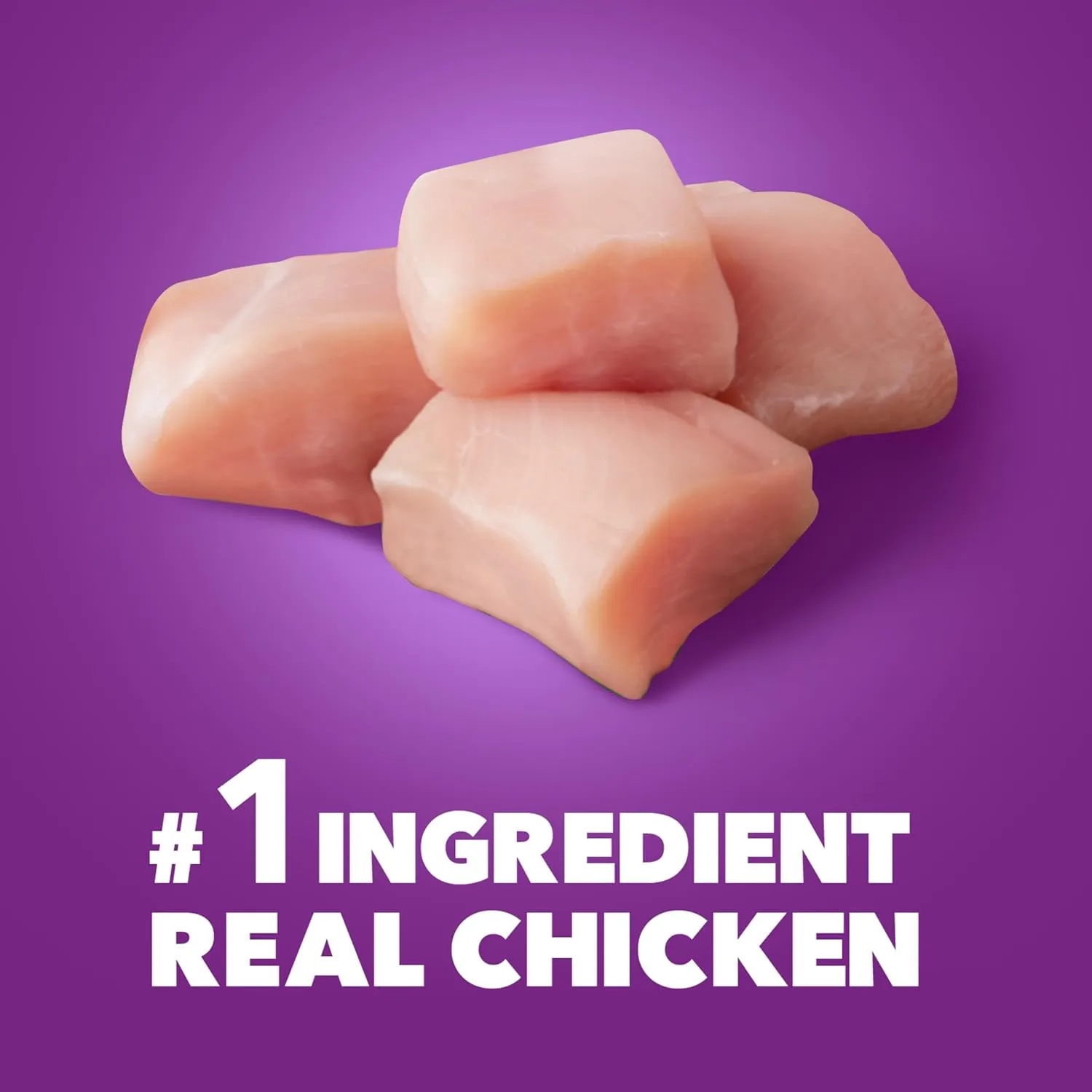 IAMS Advanced Health Skin & Coat Chicken and Salmon Recipe Adult Dry Dog Food, 13.5 lb. Bag