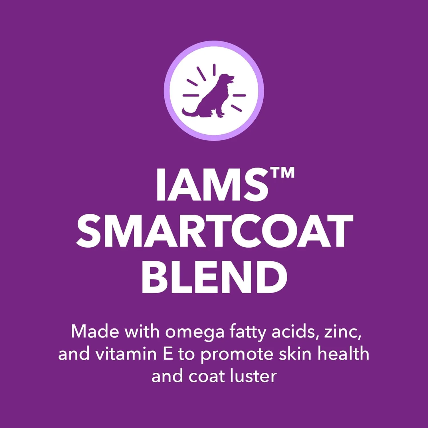 IAMS Advanced Health Skin & Coat Chicken and Salmon Recipe Adult Dry Dog Food, 13.5 lb. Bag