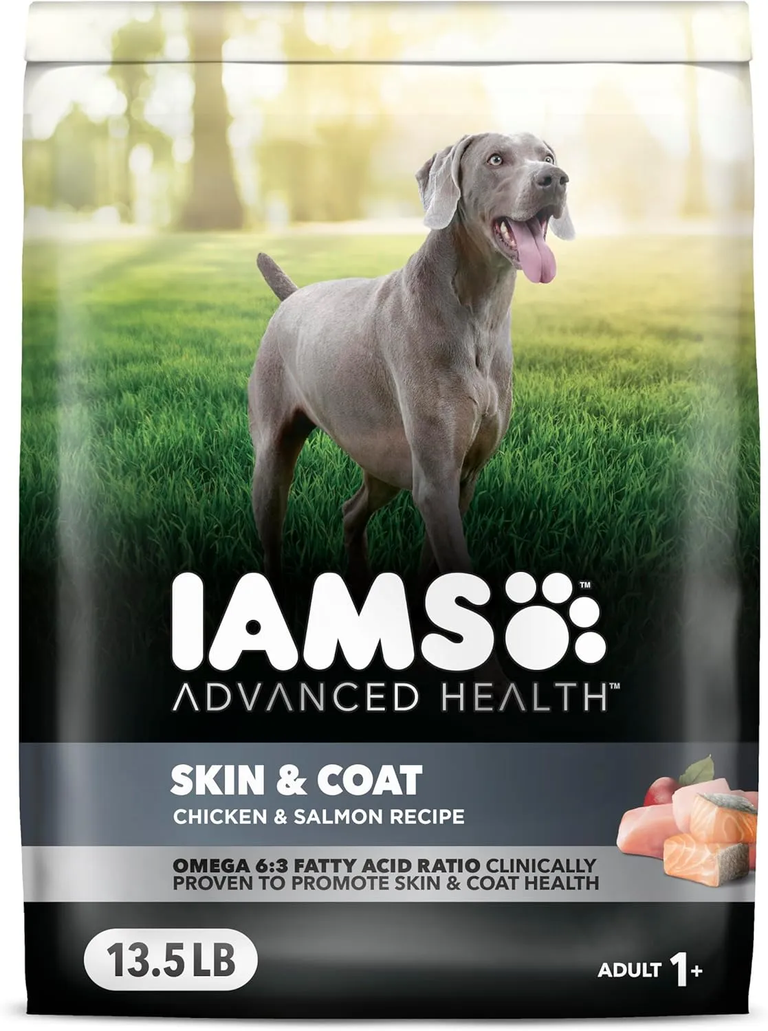 IAMS Advanced Health Skin & Coat Chicken and Salmon Recipe Adult Dry Dog Food, 13.5 lb. Bag