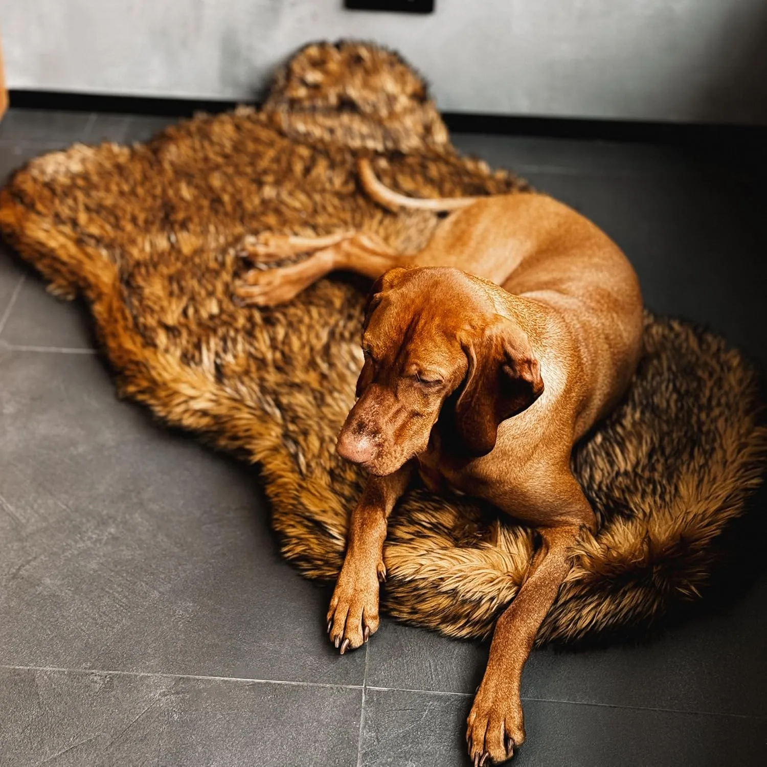 IHAPPYDOG Luxury Faux Fur Orthopedic Dog Bed, Memory Foam Dog Bed for Small, Medium, Large and XL Pets, Fluffy Pet Rug with Waterproof and Washable Cover, Brown, Giant (60x35)