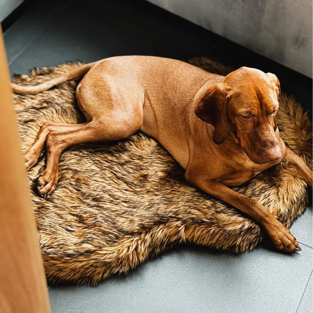 IHAPPYDOG Luxury Faux Fur Orthopedic Dog Bed, Memory Foam Dog Bed for Small, Medium, Large and XL Pets, Fluffy Pet Rug with Waterproof and Washable Cover, Brown, Giant (60x35)
