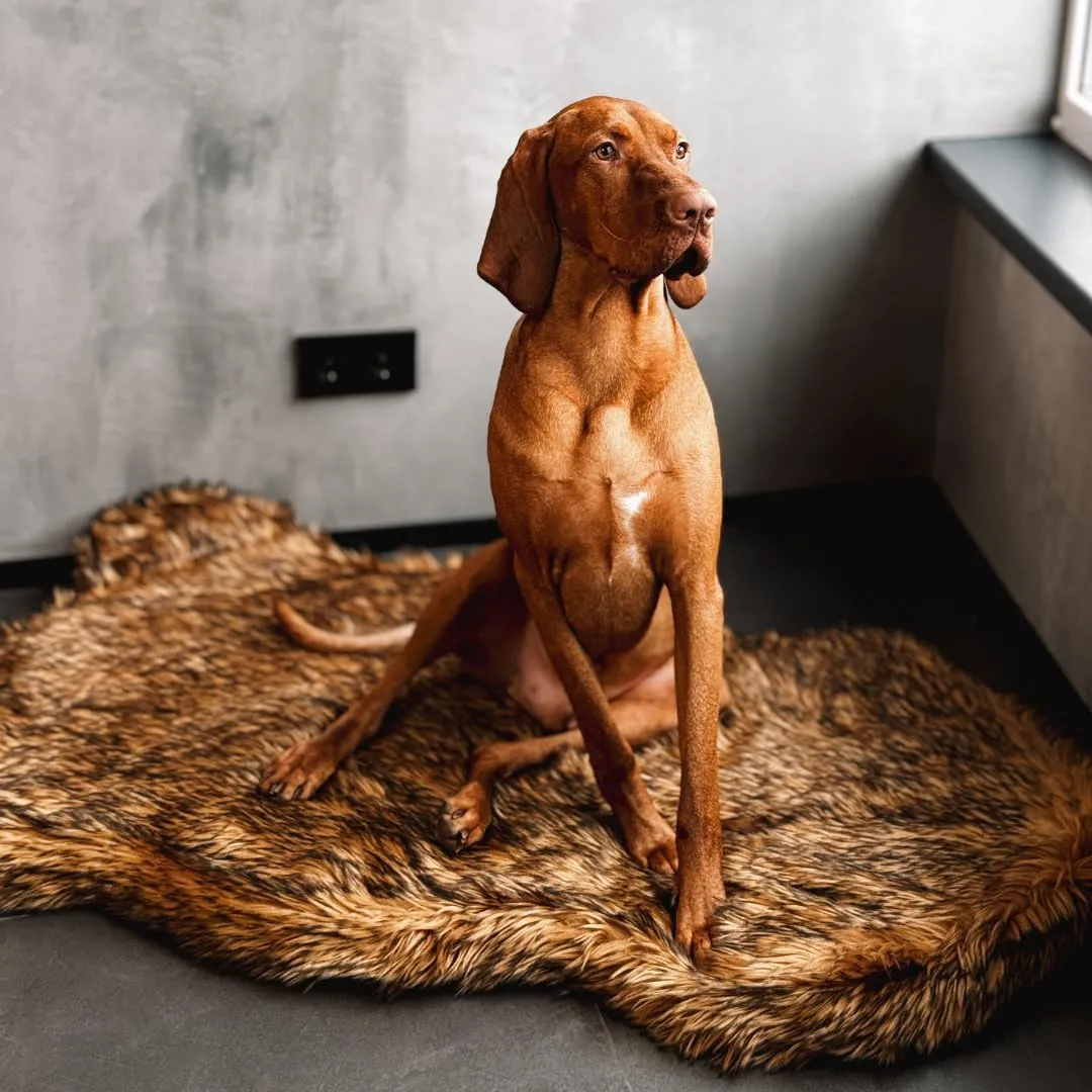 IHAPPYDOG Luxury Faux Fur Orthopedic Dog Bed, Memory Foam Dog Bed for Small, Medium, Large and XL Pets, Fluffy Pet Rug with Waterproof and Washable Cover, Brown, Giant (60x35)