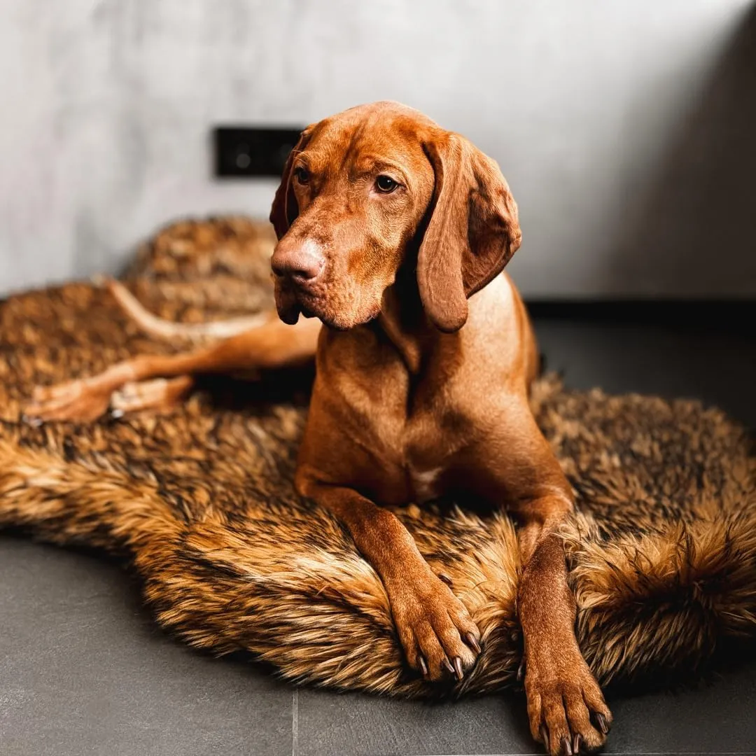 IHAPPYDOG Luxury Faux Fur Orthopedic Dog Bed, Memory Foam Dog Bed for Small, Medium, Large and XL Pets, Fluffy Pet Rug with Waterproof and Washable Cover, Brown, Giant (60x35)