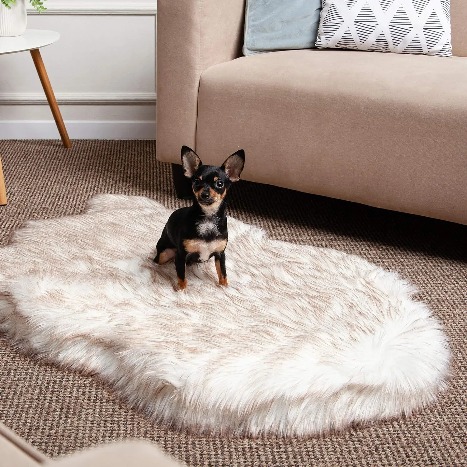IHAPPYDOG Luxury Faux Fur Orthopedic Dog Bed, Memory Foam Dog Bed for Small, Medium, Large and XL Pets, Fluffy Pet Rug with Waterproof and Washable Cover, White, Medium 40x25