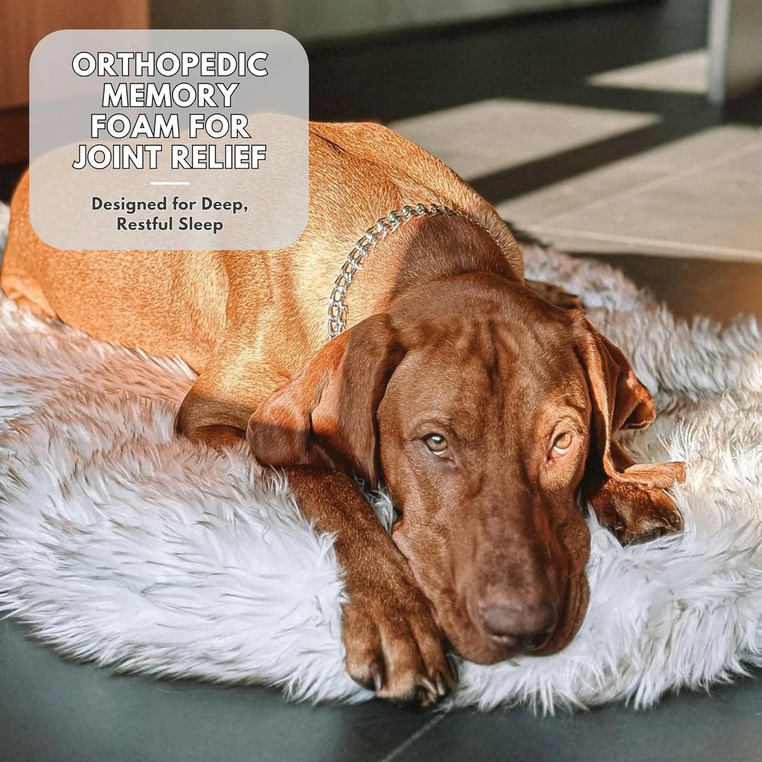 IHAPPYDOG Luxury Faux Fur Orthopedic Dog Bed, Memory Foam Dog Bed for Small, Medium, Large and XL Pets, Fluffy Pet Rug with Waterproof and Washable Cover, White, Medium 40x25