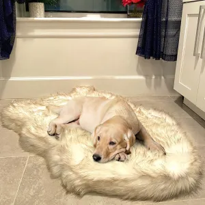 IHAPPYDOG Luxury Faux Fur Orthopedic Dog Bed, Memory Foam Dog Bed for Small, Medium, Large and XL Pets, Fluffy Pet Rug with Waterproof and Washable Cover, White, Medium 40x25