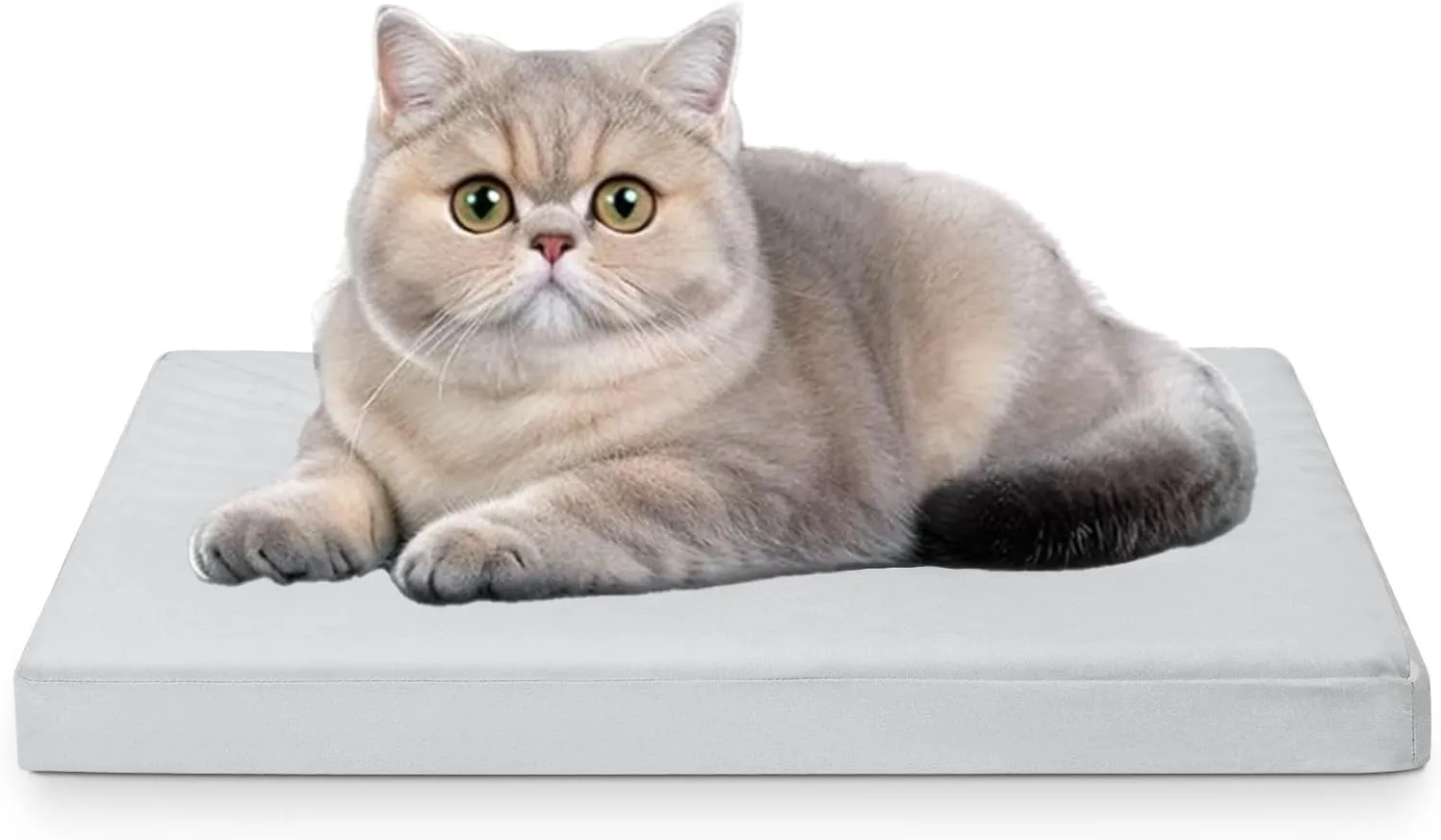 Indestructible Dog Bed for Small Dogs, Waterproof Squishmallow Pet Bed with Non-Slip Bottom, Machine Washable Memory Foam Pet Sleeping Puppy Bed, 20x15 Inch, Gray