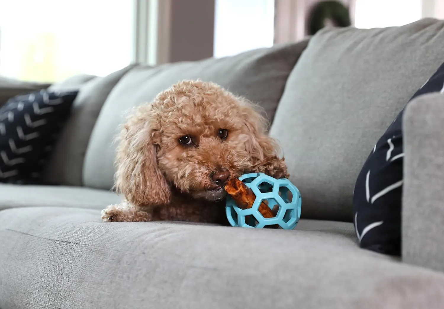JW Pet HOL-ee Roller, Dog Toy Puzzle Ball, Natural Rubber, Medium (4.5 Inch Diameter), Blue