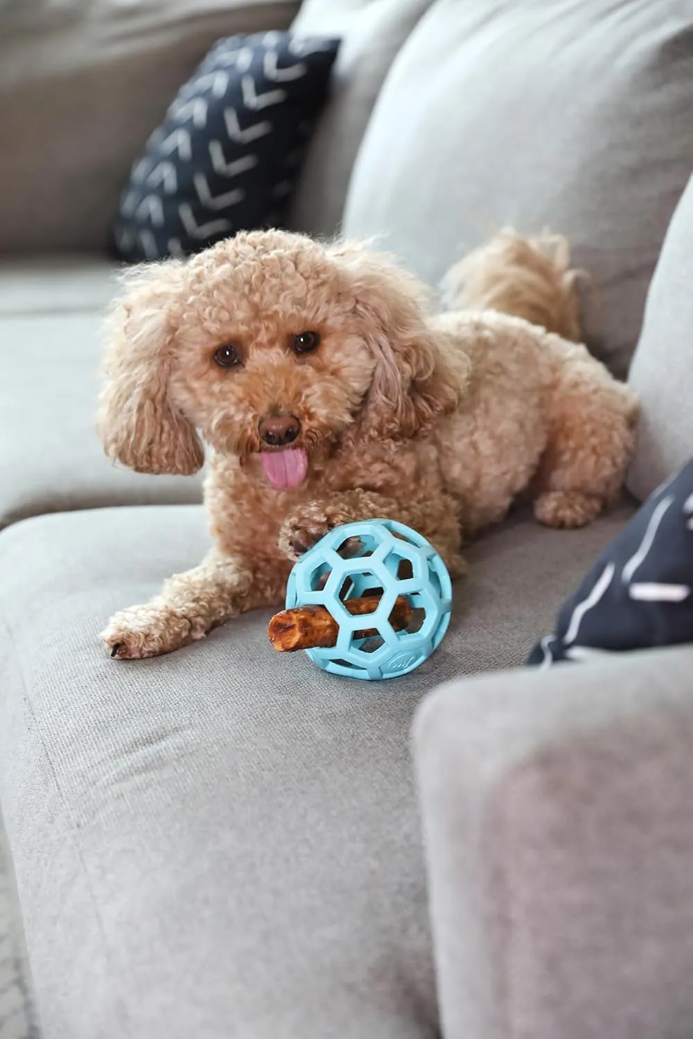 JW Pet HOL-ee Roller, Dog Toy Puzzle Ball, Natural Rubber, Medium (4.5 Inch Diameter), Blue