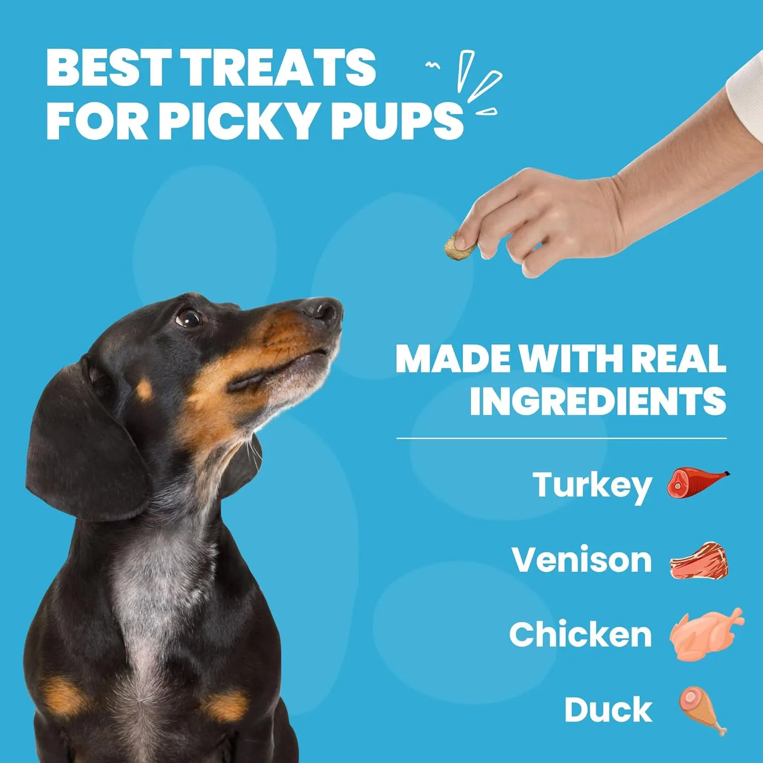 Muenster 3-in-1 Turkey-Duck-Chicken Freeze Dried Dog Treats (5oz) - Healthy Coat, Joints & Digestion for Training or Meal Topper - Limited Edition - Made in USA