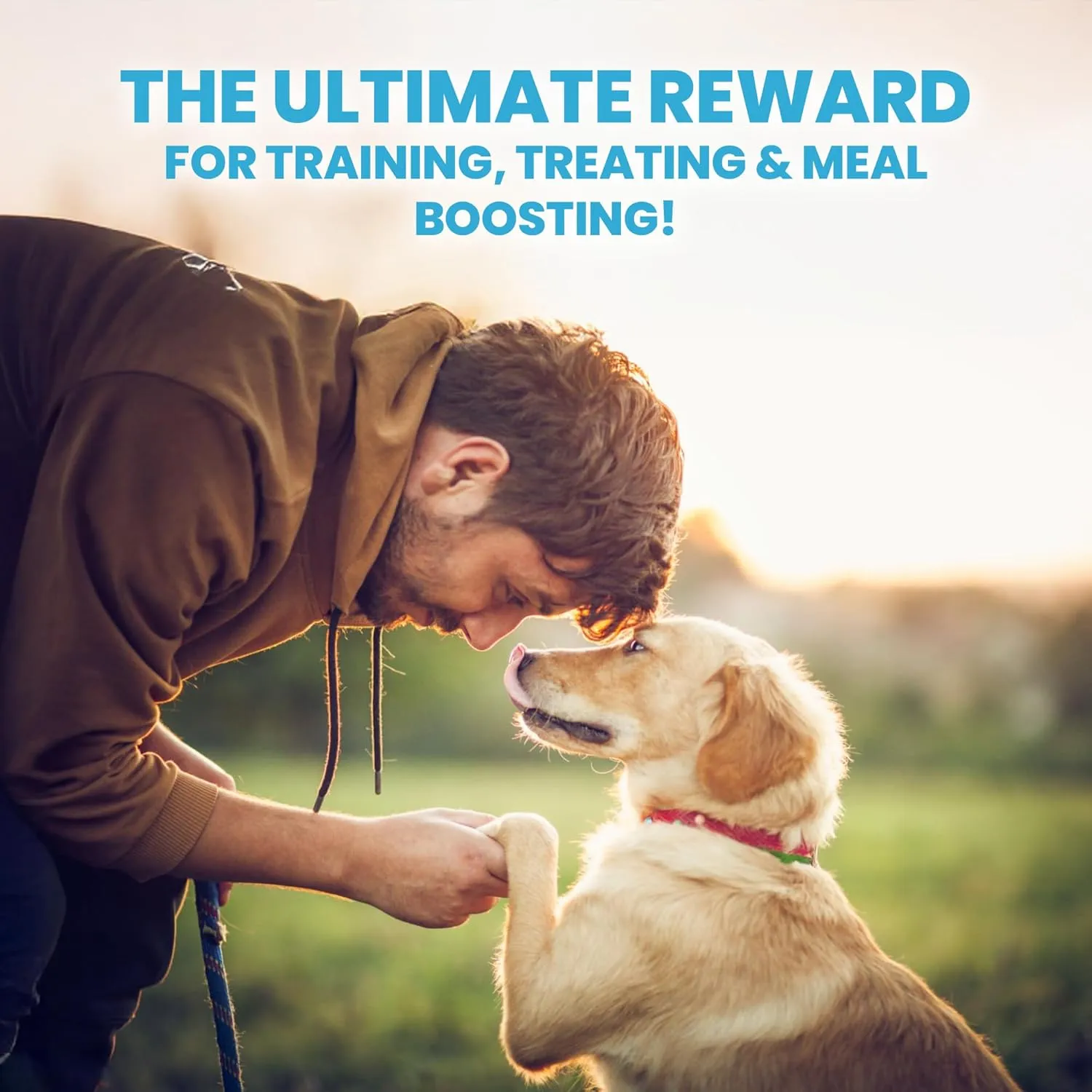 Muenster 3-in-1 Turkey-Duck-Chicken Freeze Dried Dog Treats (5oz) - Healthy Coat, Joints & Digestion for Training or Meal Topper - Limited Edition - Made in USA