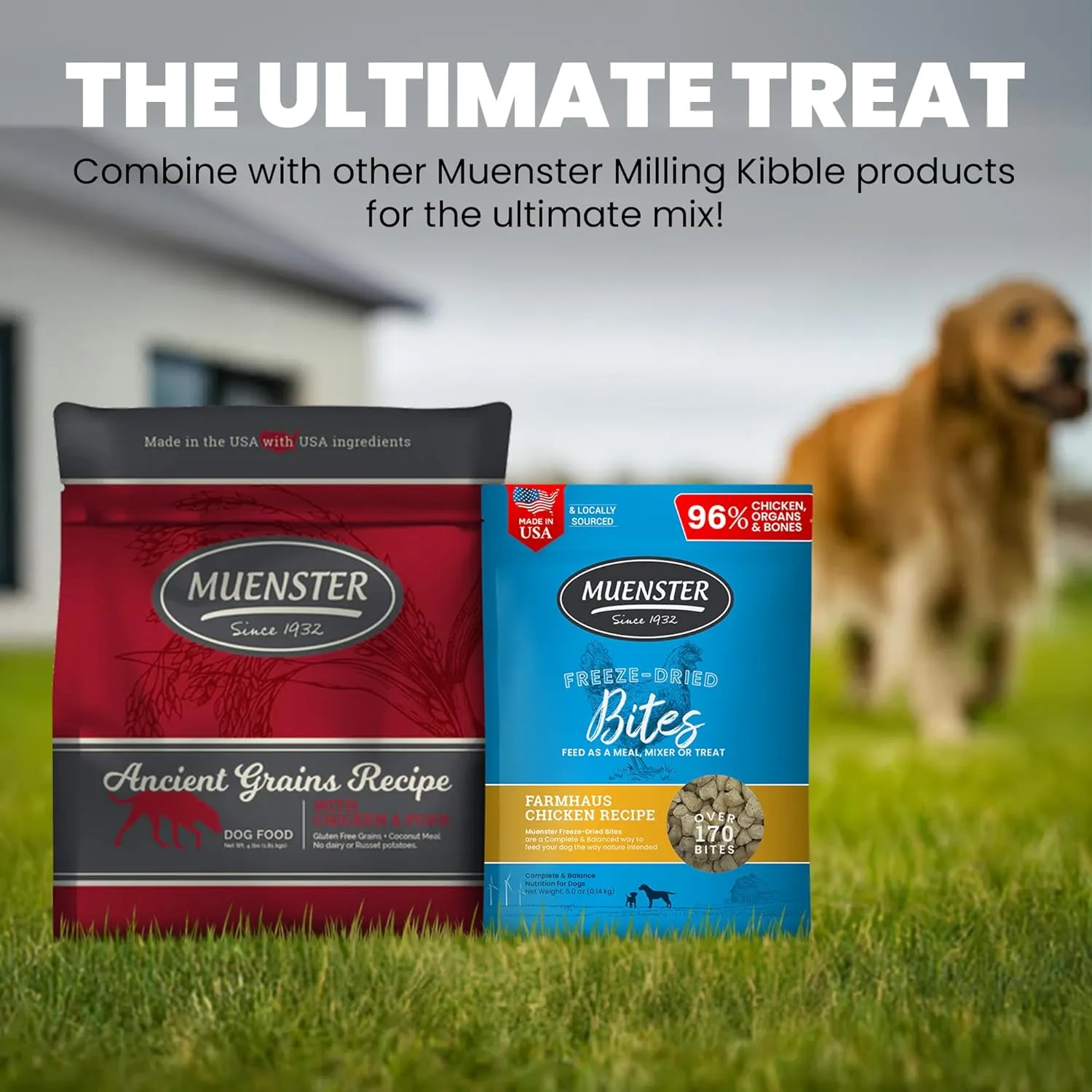 Muenster Freeze Dried Chicken Bites - Dog Food, Treat, Mixer or Topper (5oz) - Grain Free