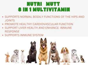 Multivitamin Treats for Dogs - Glucosamine Chondroitin for Joint Support   Digestive Enzymes & Probiotics - Grain Free Dog Vitamin for Skin & Coat   Immune Health - Chicken Flavor - 120ct
