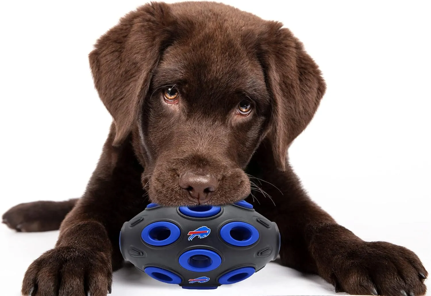 NFL Buffalo Bills Football Treat Dispensing Toy for Dogs and Cats, Rubber Ball Dog Toy, Interactive Fun Dog Treat Toy, Natural Rubber Dog Feeding Toy