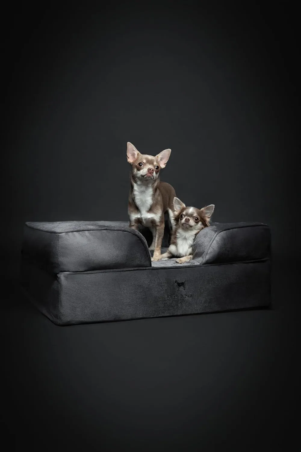 NOAH & PAW Dog Bed, 28x23x11 Inch, Orthopedic Dog Beds for Medium Size Pets, Eggshell Memory Foam Infused with Cooling Gel, Inner Cover, Waterproof, Machine Washable (Velvet Sofa Collection)