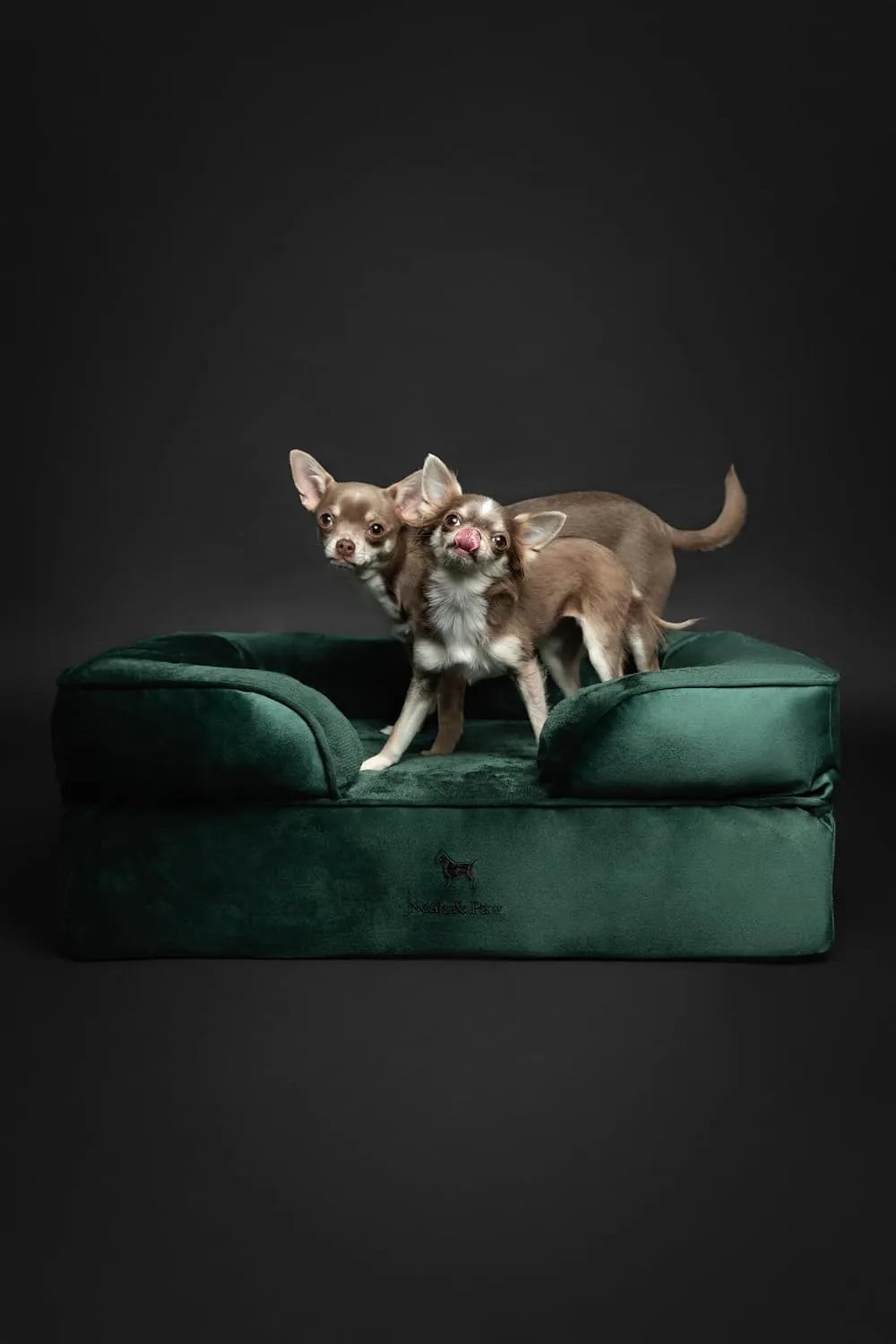 NOAH & PAW Dog Bed, 28x23x11 Inch, Orthopedic Dog Beds for Medium Size Pets, Eggshell Memory Foam Infused with Cooling Gel, Inner Cover, Waterproof, Machine Washable (Velvet Sofa Collection)