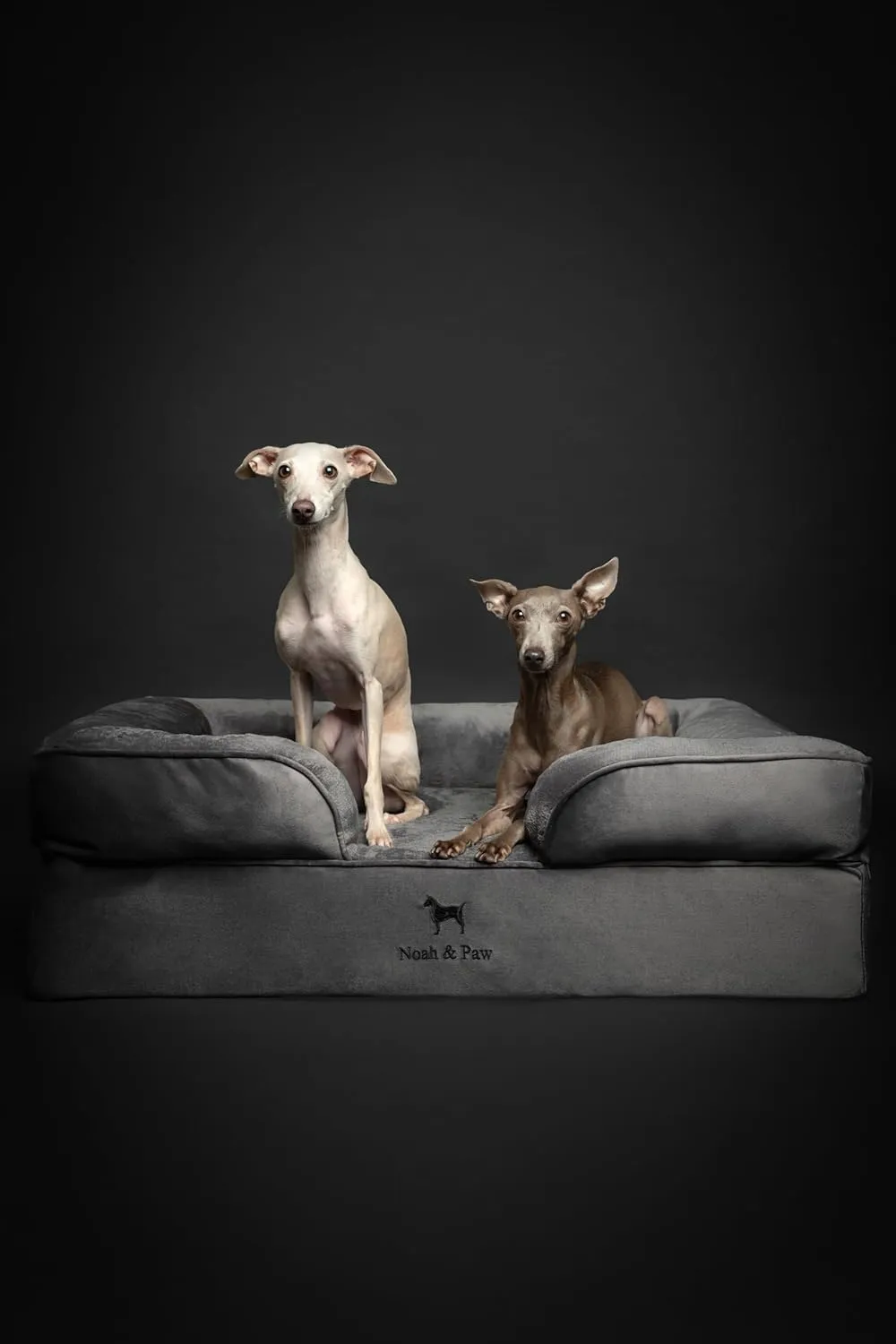 NOAH & PAW Large Dog Bed, 35x25x11 Inch, Orthopedic Dog Beds, Eggshell Memory Foam Infused with Cooling Gel, Inner Cover, Waterproof, Machine Washable (Velvet Sofa Collection)
