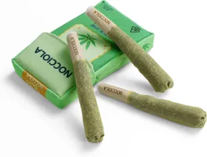 Nocciola 3 Pack Funny Catnip Toys for Cats, 100% North American Organic Catnip Filled, Kittens Teething Chew & Kicker Toys, Interactive Stress Relief Cat Toys for Indoor Cats, Green