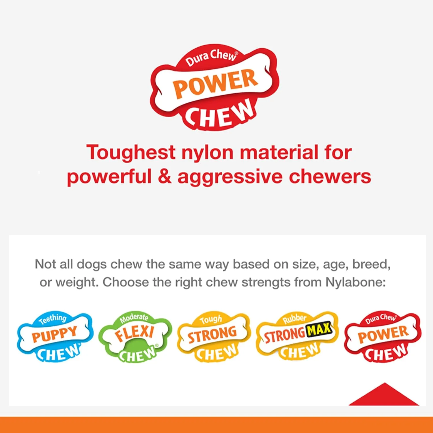 Nylabone Power Chew Barbell Bone Chew Toy for Dogs, Durable Dog Toy, Peanut Butter Flavor, Large - Up to 50 lbs. (1 Count) (Pack of 2)