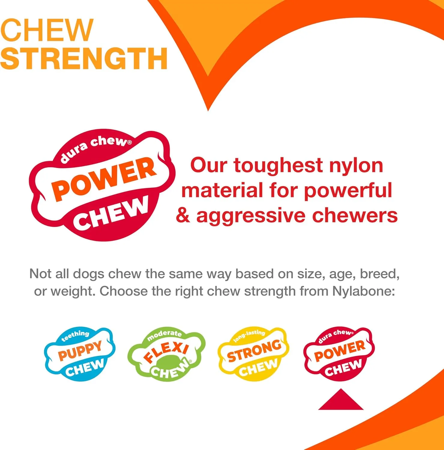 Nylabone Power Chew Toy Bundle, Cute Dog Toys for Aggressive Chewers, Bacon Glazed, Toasted Marshmallow, and Peanut Butter Flavors, Large Dogs - Up to 50 lbs, 3 Pack