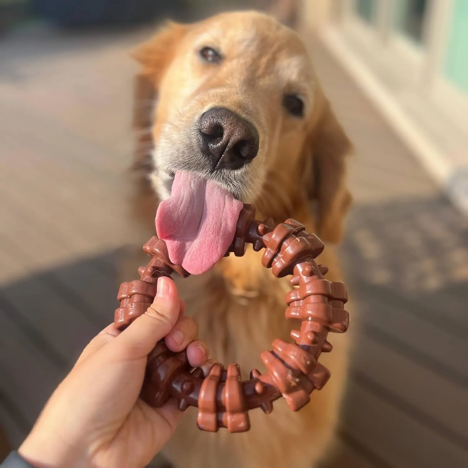Nylabone Textured Ring Power Chew Toy for Dogs, Dog Toys for Aggressive Chewers, Flavor Medley, X-Large Dogs - 50  lbs, 1 Count