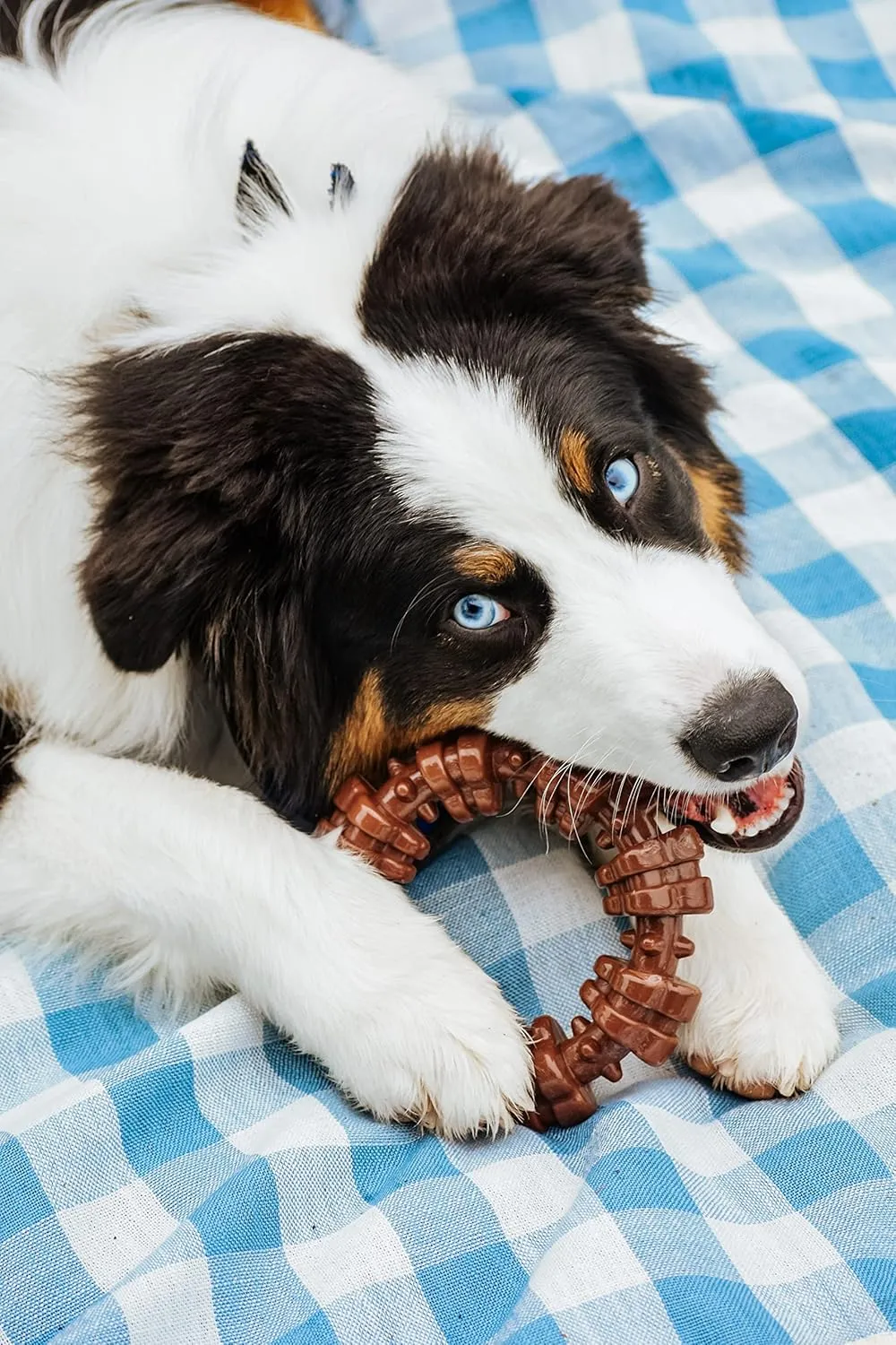 Nylabone Textured Ring Power Chew Toy for Dogs, Dog Toys for Aggressive Chewers, Flavor Medley, X-Large Dogs - 50  lbs, 1 Count