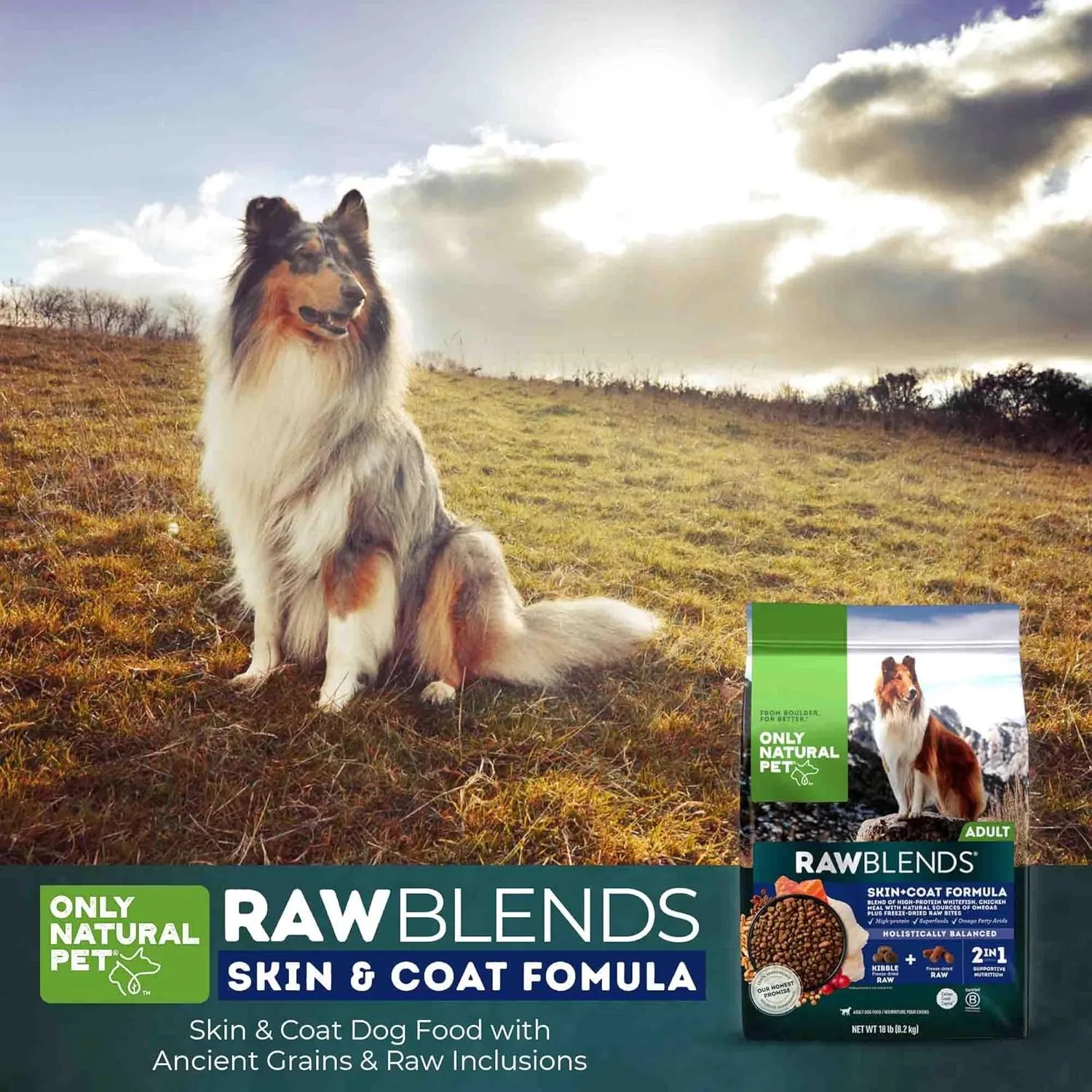 Only Natural Pet Raw Blends Skin & Coat Formula - Holistic Dog Food for Adult, High-Protein Ancient Grains Kibble & Freeze-Dried Raw Superfood Bites for Full Body Wellness with Omega-3-18 lbs