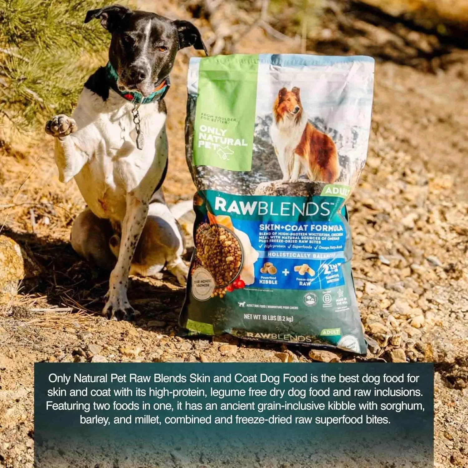Only Natural Pet Raw Blends Skin & Coat Formula - Holistic Dog Food for Adult, High-Protein Ancient Grains Kibble & Freeze-Dried Raw Superfood Bites for Full Body Wellness with Omega-3-18 lbs