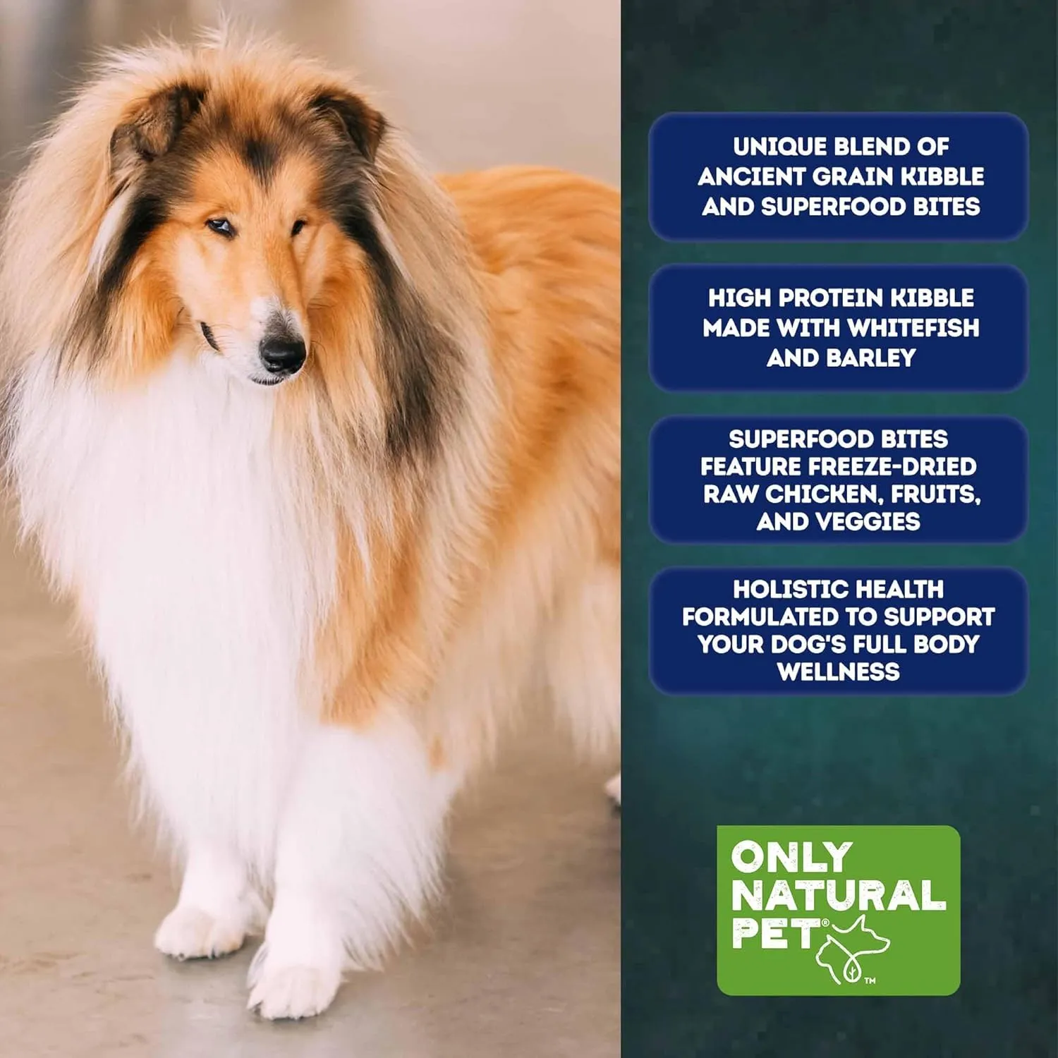 Only Natural Pet Raw Blends Skin & Coat Formula - Holistic Dog Food for Adult, High-Protein Ancient Grains Kibble & Freeze-Dried Raw Superfood Bites for Full Body Wellness with Omega-3-18 lbs
