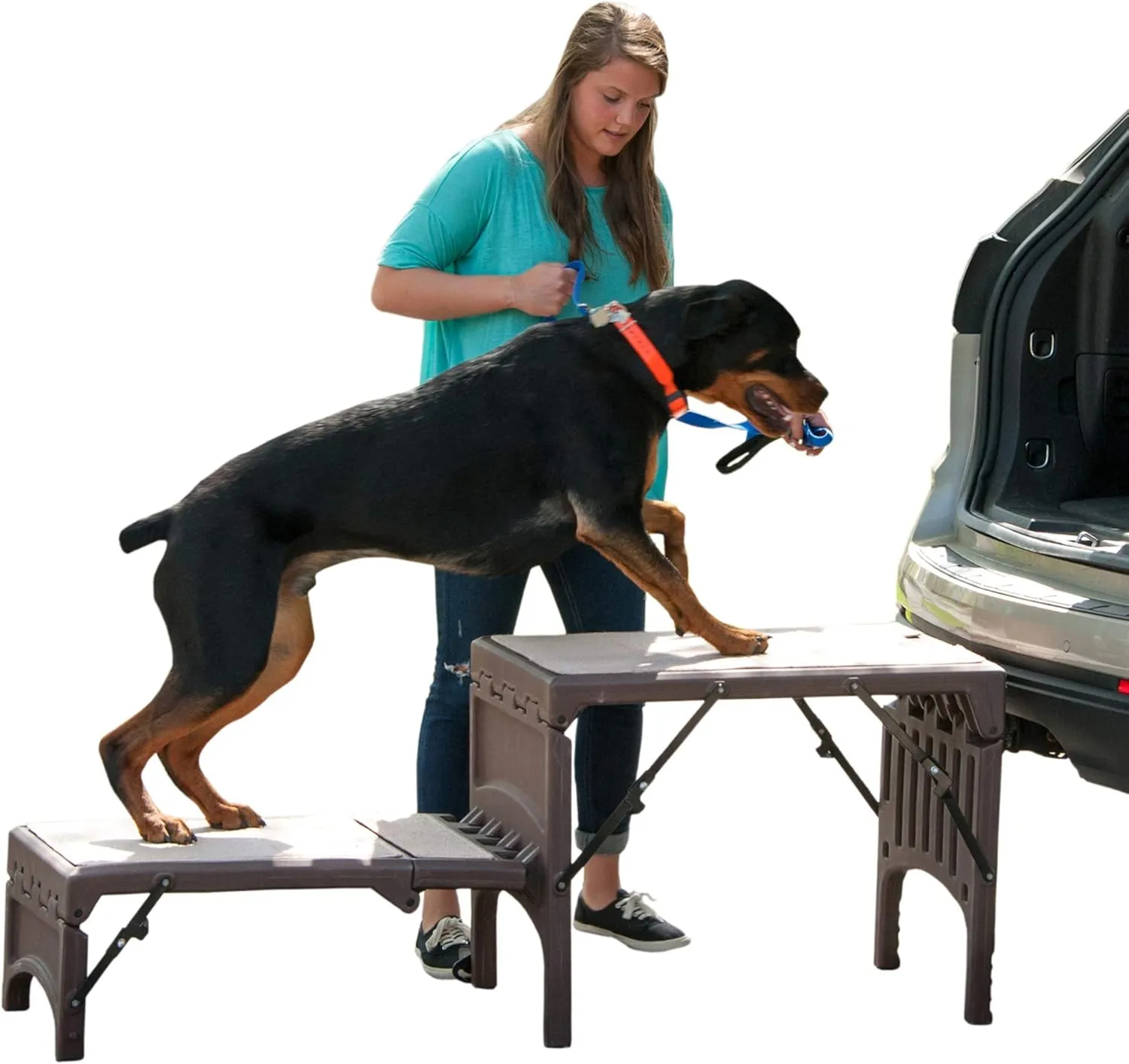 Pet Gear Free Standing Pet Ramp for Cats and Dogs, No Assembly Required, Easy Fold for Storage or Travel, Portable, Espresso