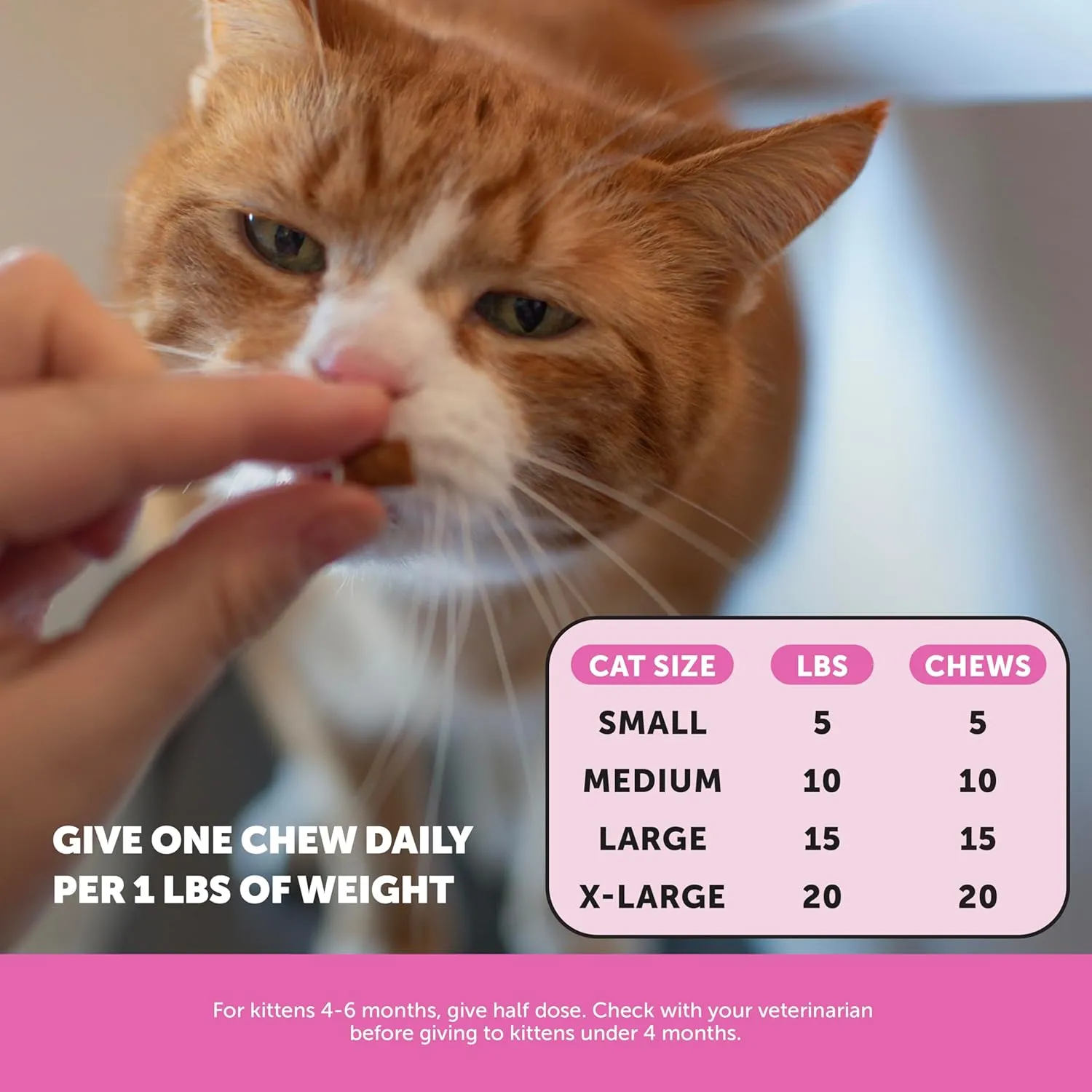 Pet Honesty Cat Multivitamin Crunchy & Creamy Chews - Cat Treats for Health   Immune, Joint Support, Skin & Coat, & Digestion - Vitamins with Omega 3s, Lysine & Probiotics (30 Day Supply)