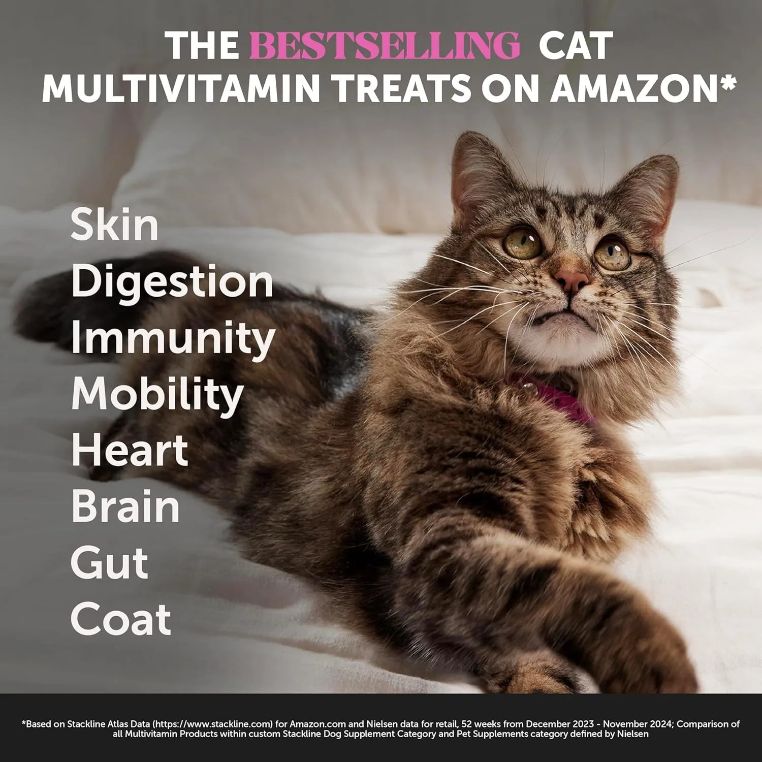 Pet Honesty Cat Multivitamin Crunchy & Creamy Chews - Cat Treats for Health   Immune, Joint Support, Skin & Coat, & Digestion - Vitamins with Omega 3s, Lysine & Probiotics (30 Day Supply)