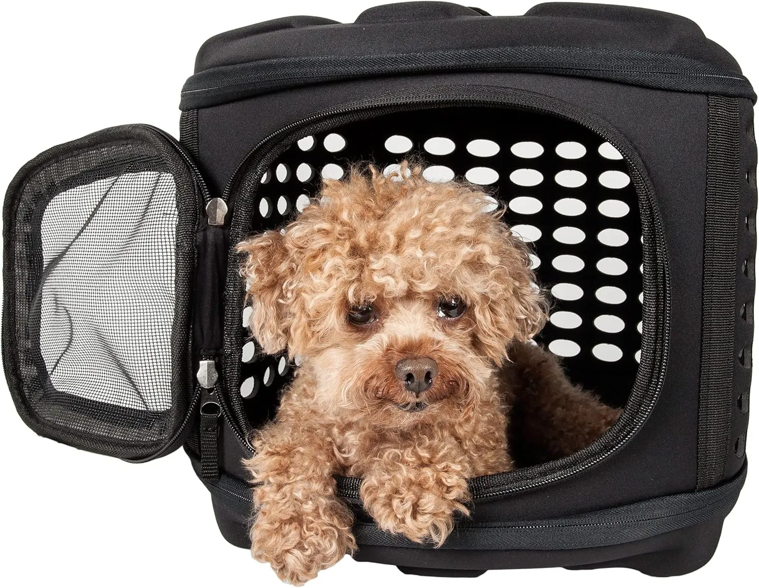 Pet Life Circular Shelled Travel Pet Carrier - Collapsible and Folding Airline Dog Carrier with Lightweight Military-Grade Durability with Included Shoulder Straps